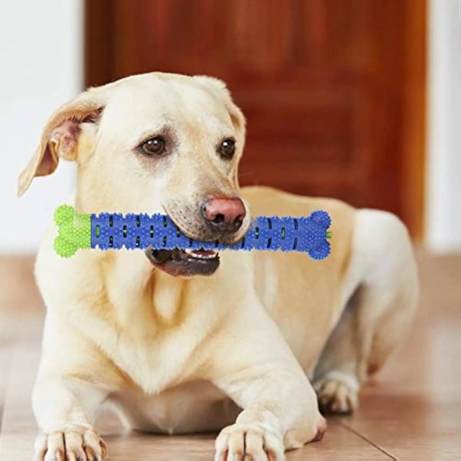 Blue-green silicone dog dental chew toy with serrated brush head and gum massage nodules