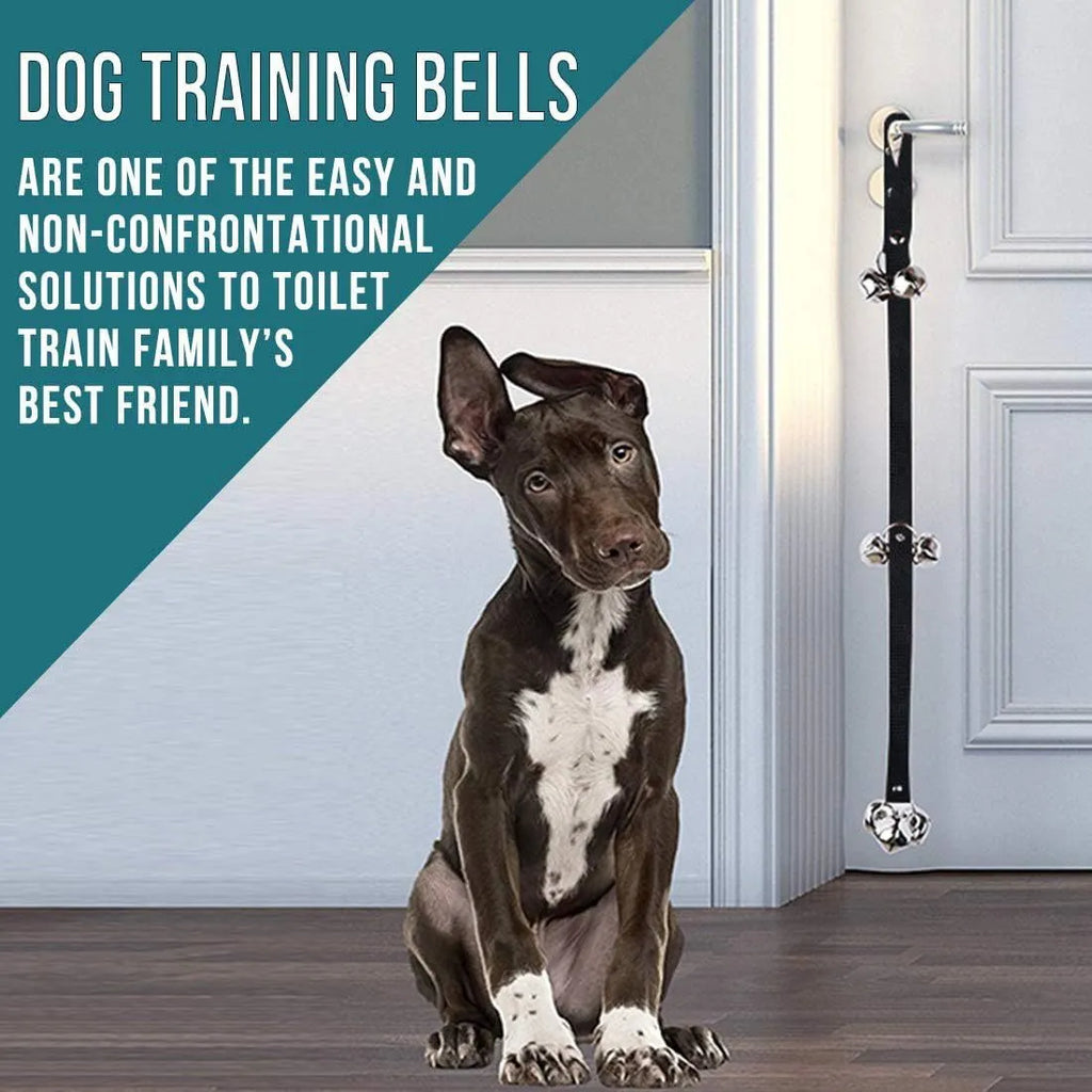 Set of six silver metal dog training bells on an adjustable black nylon leash hung on a door