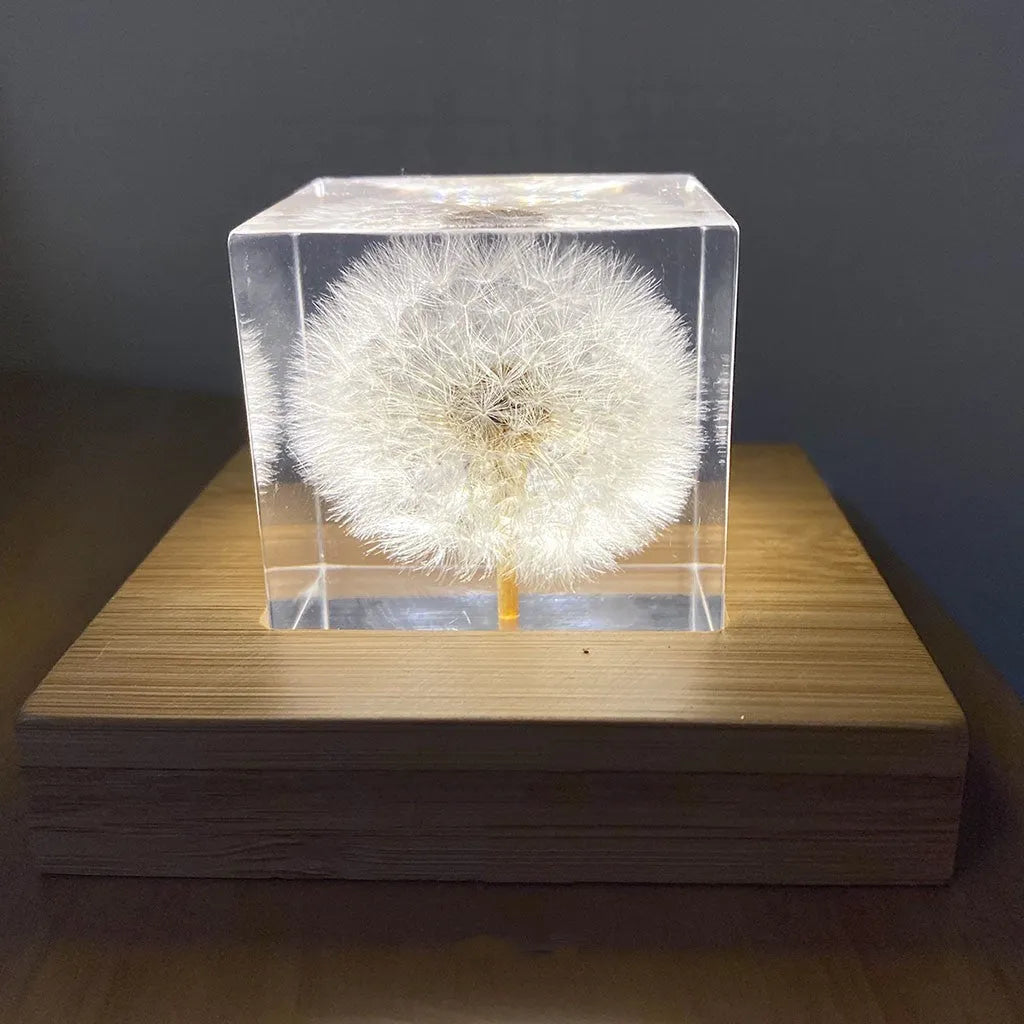 5cm clear resin cube with a real dandelion inside, on a USB LED base next to a wooden box.