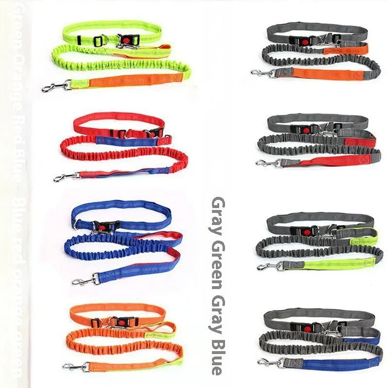 Reflective nylon dog leash with 2.5cm width shown in grey and green colour combination
