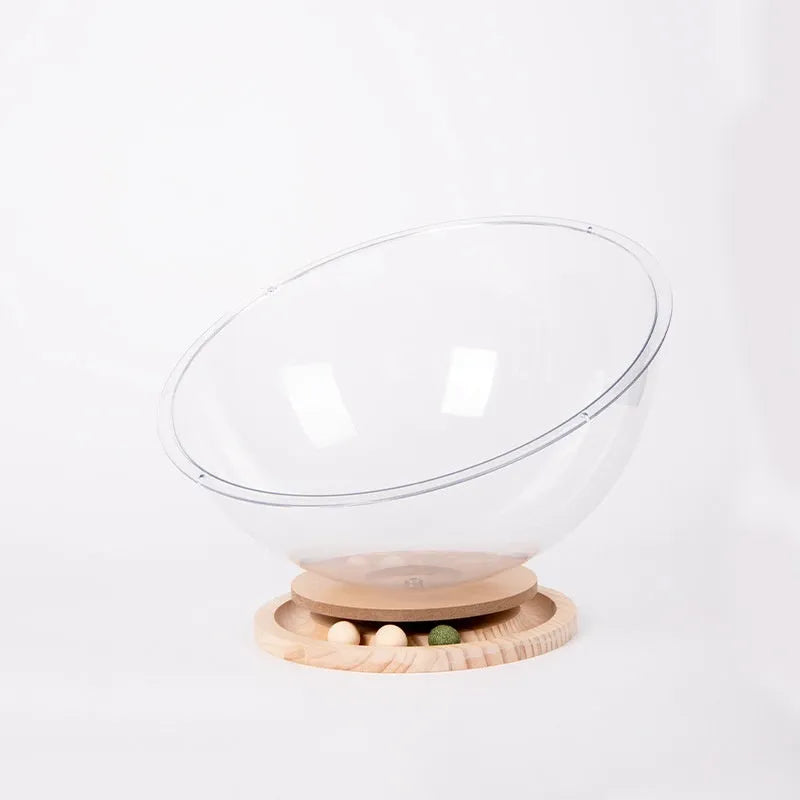 Transparent acrylic cat space capsule bed showing curved bathtub design