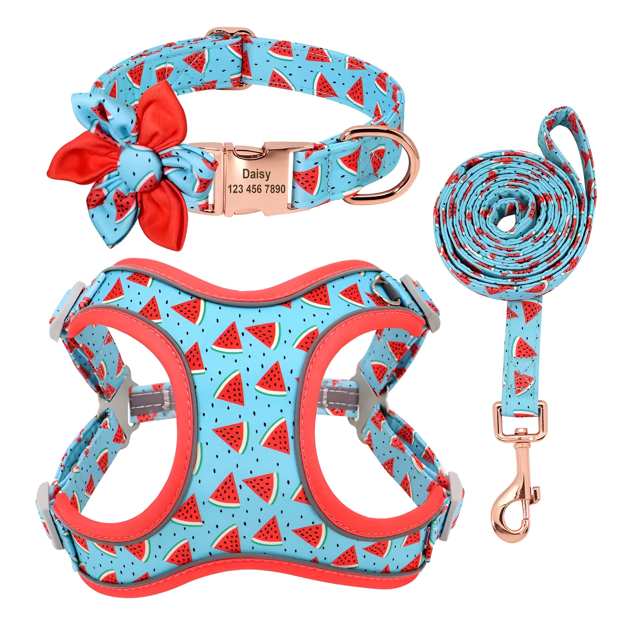 Small dog leash set with adjustable collar and towing rope in blue green red yellow colours
