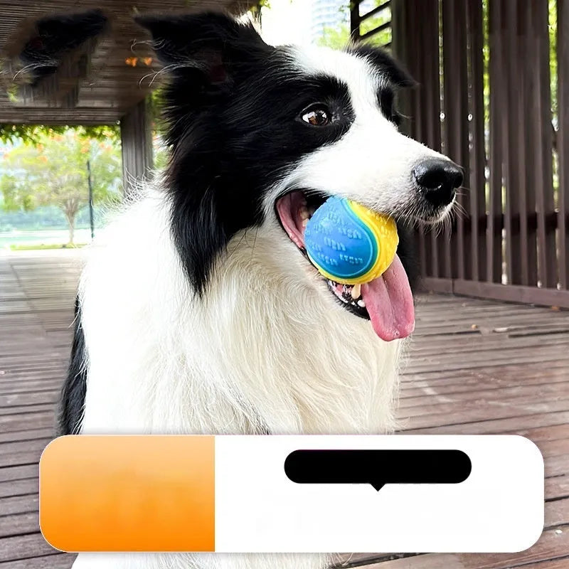 TPR dog training ball with squeaker and molar ridge texture in assorted colours