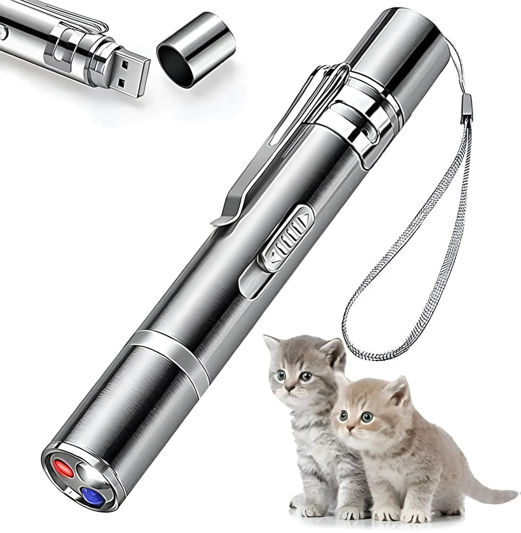 Silver aluminium alloy cat laser pointer wand with USB charging port and pattern selection gear