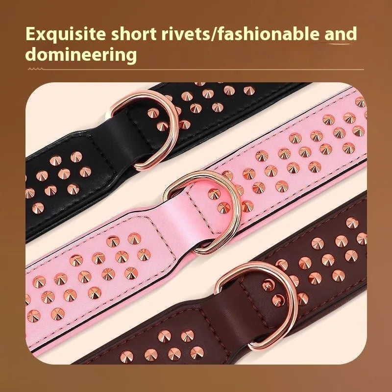 Leather dog training collar with stainless steel anti-bite rivets in black, chocolate, or pink colour options