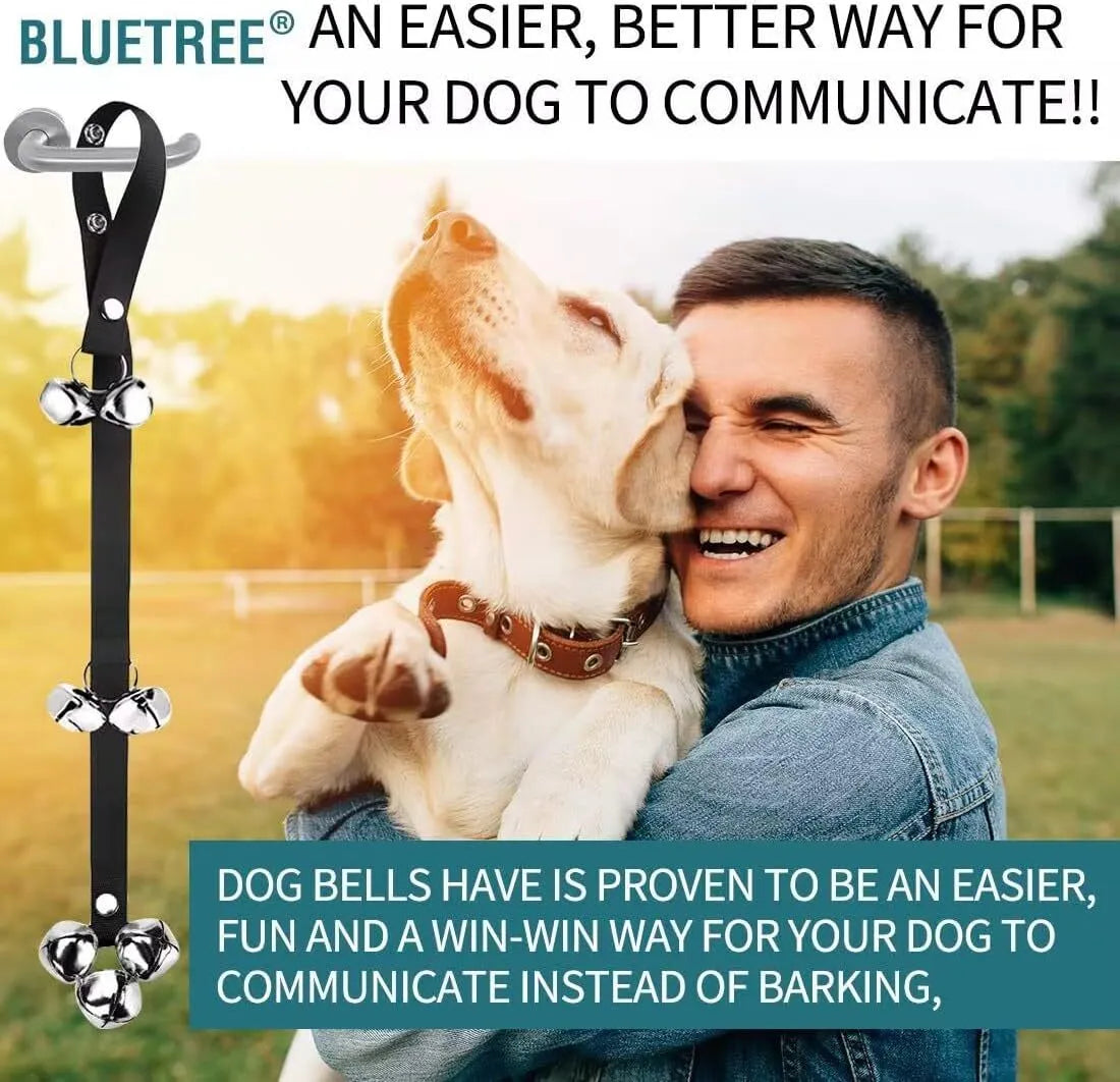 Set of six silver metal dog training bells on an adjustable black nylon leash hung on a door