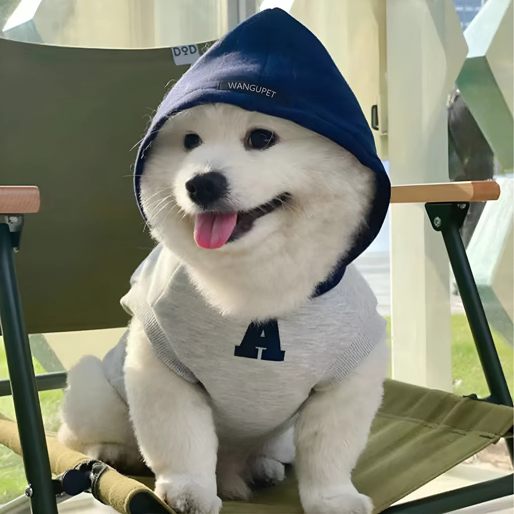 Blue polyester pet hoodie for dogs or cats with reflective white letters, slim-fitting design.
