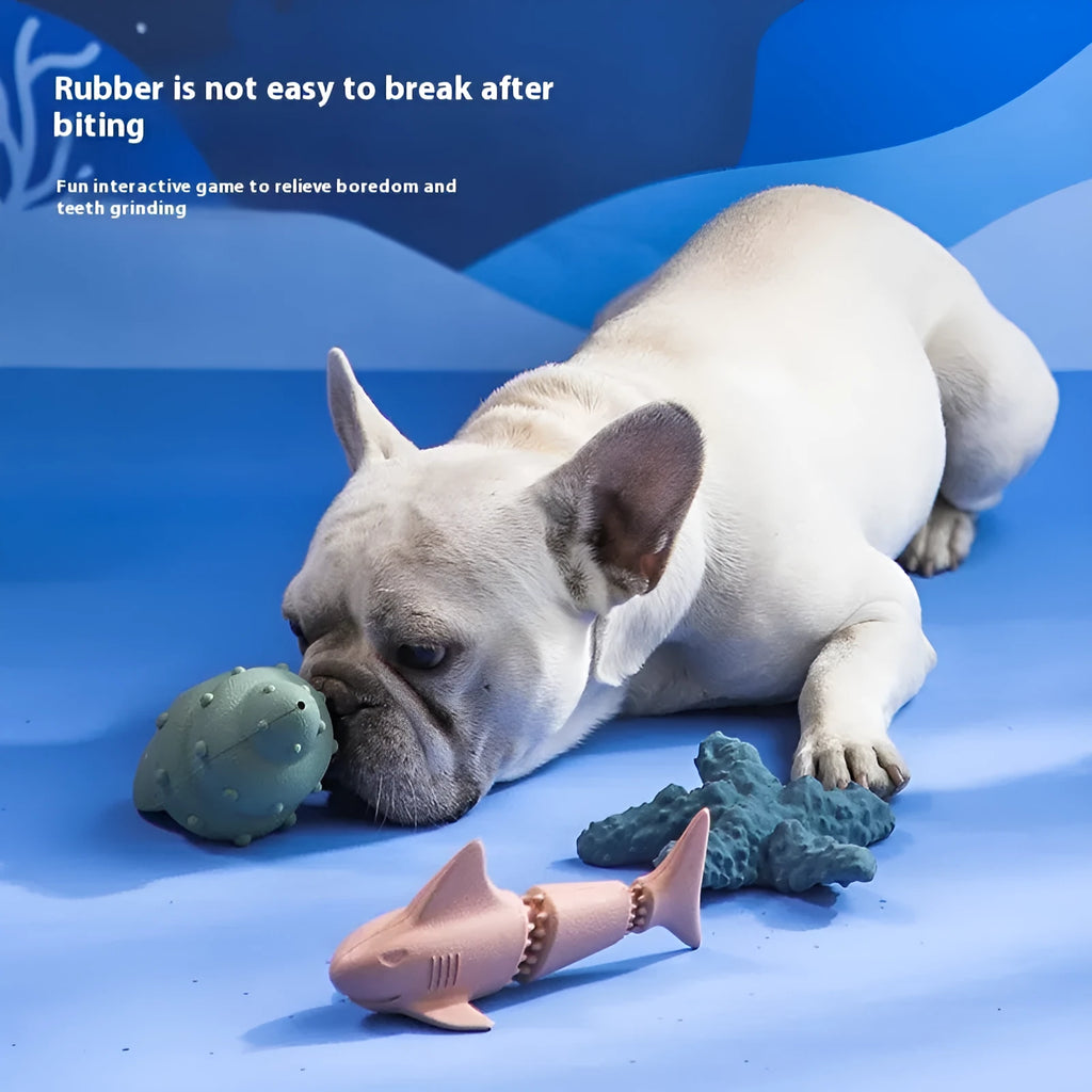 Deep sea shark rubber dog toy in blue or green colour with conch or starfish design options