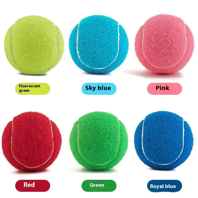 6.3cm diameter rubber dog tennis ball toy in assorted colours for medium large breed dogs