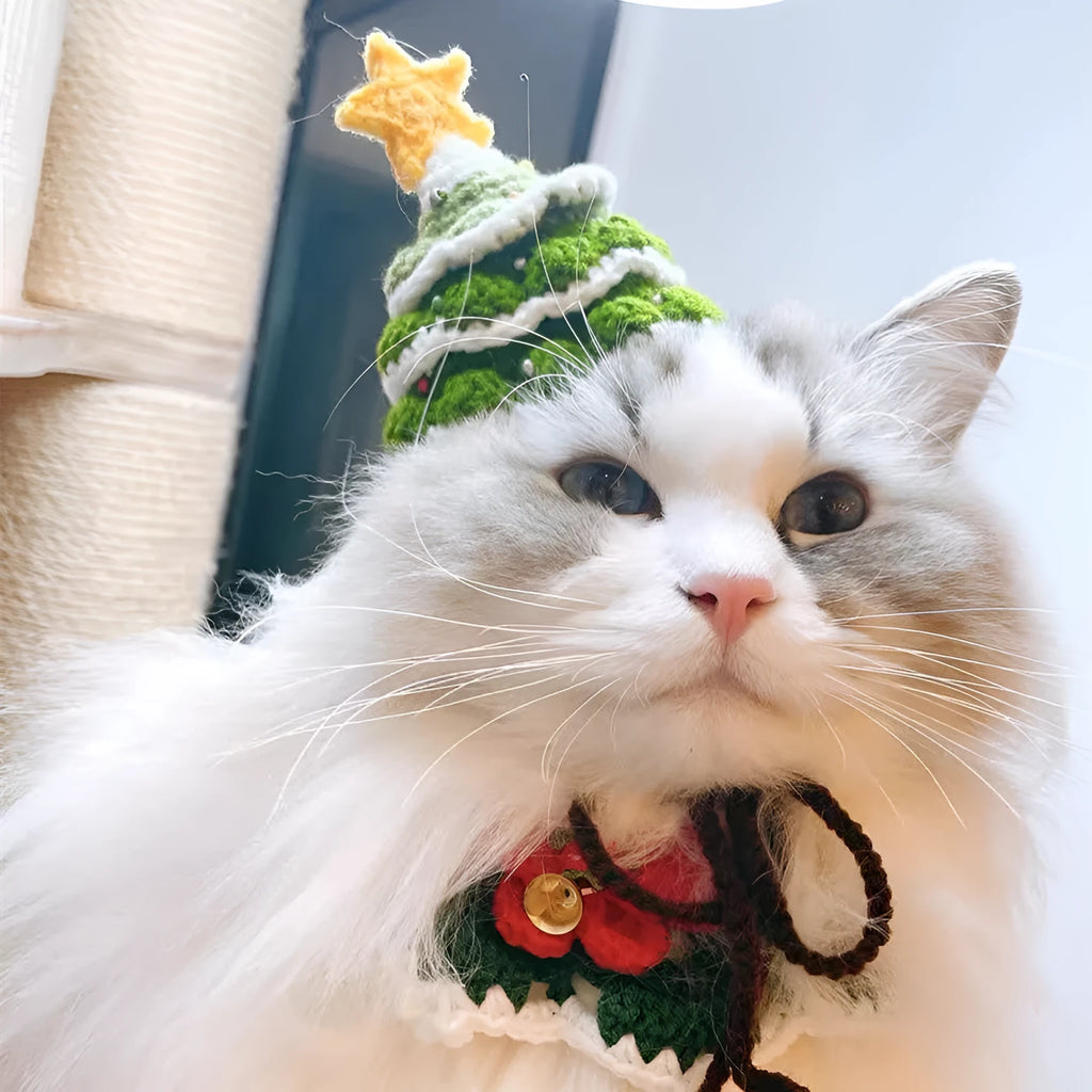 Green handmade woolen pet hat for cats small dogs and rabbits