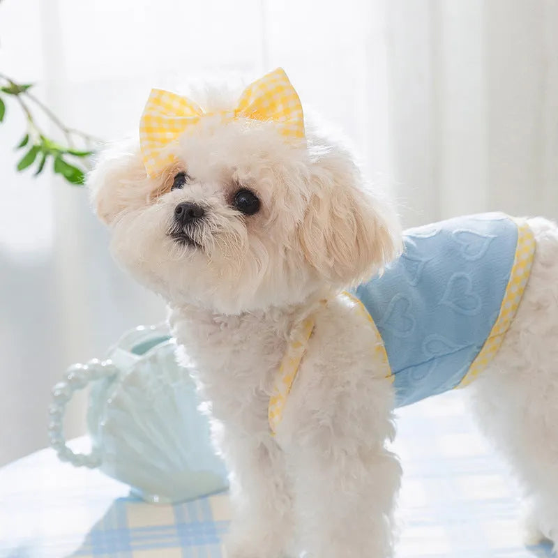 Small dog wearing a blue elastic vest with a white heart and bow suspenders decoration.