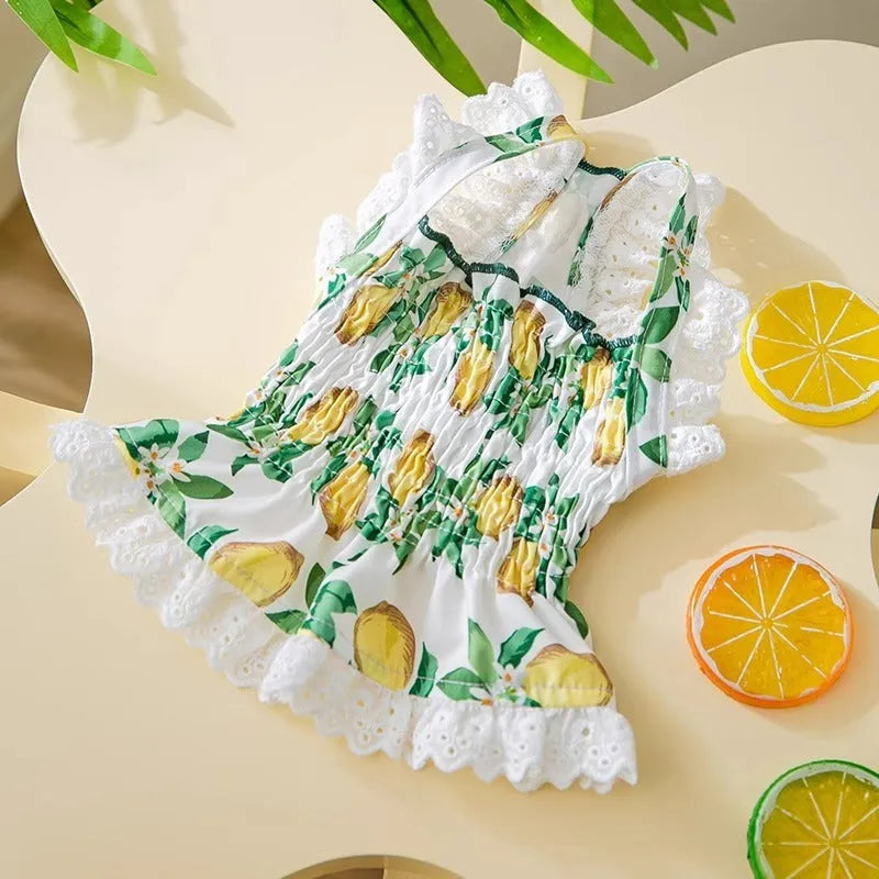 Rock yellow lemon polyester dog dress with thin breathable strap skirt, shown on a mannequin.
