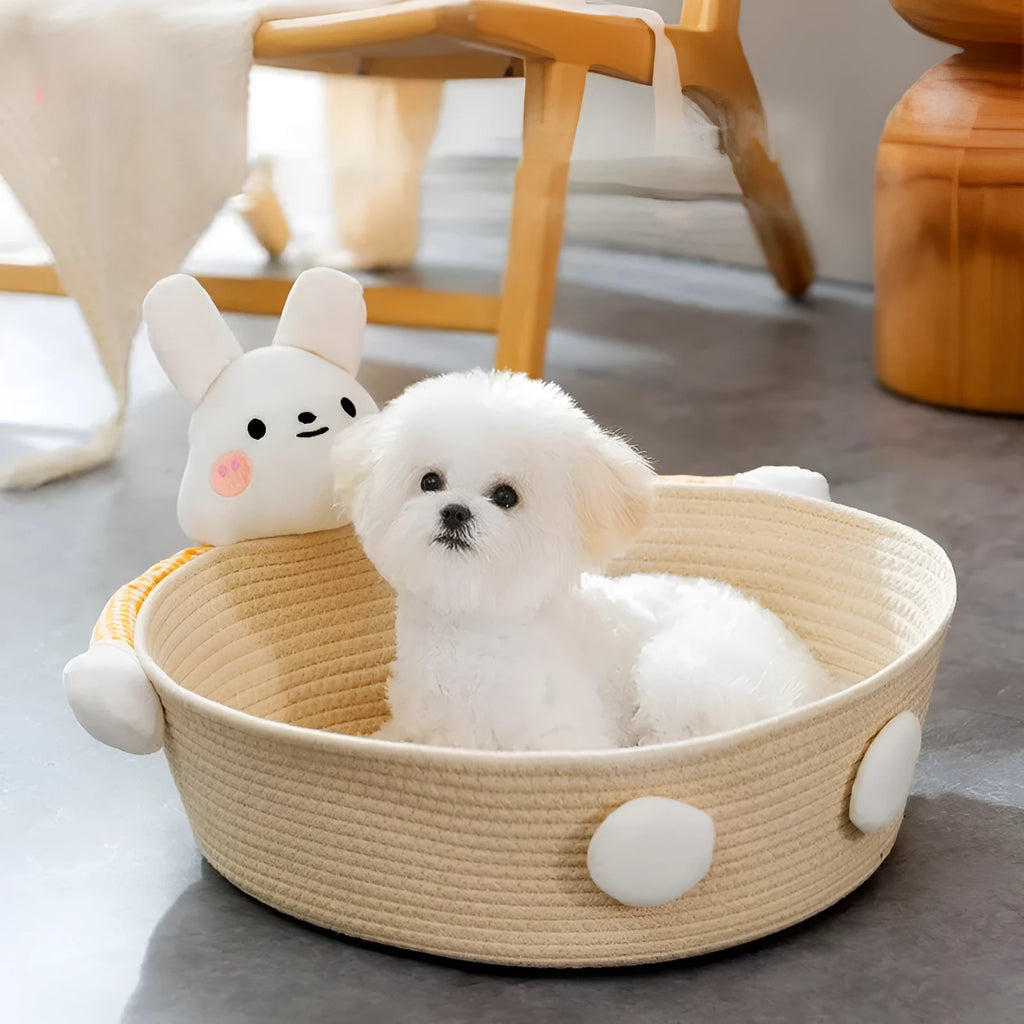 Woven cotton rope cat bed and scratching post in bear design, showing basket shape.