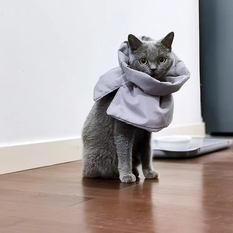 Adjustable cat recovery cone collar in light blue with elastic buckle for small dogs and cats