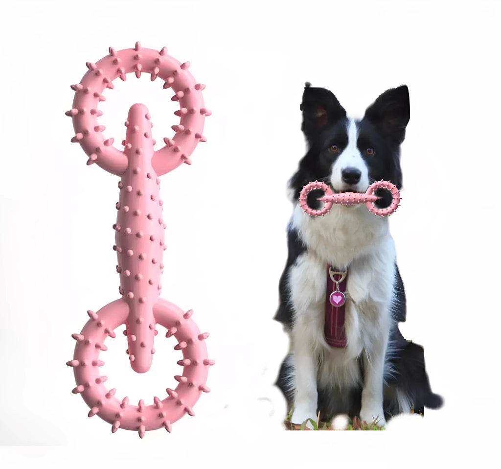 Blue TPR dog chew toy ring for teething puppies measuring 16cm