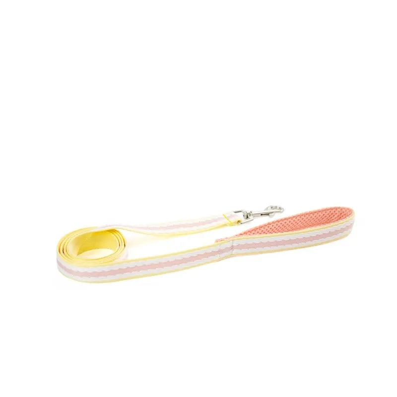 Lightweight dog harness with attached hand holding rope in sea salt yellow colour on a small dog