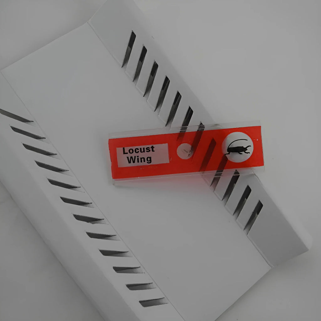 48 plastic educational microscope slides with plant and animal specimens in red, green, yellow, blue boxes.