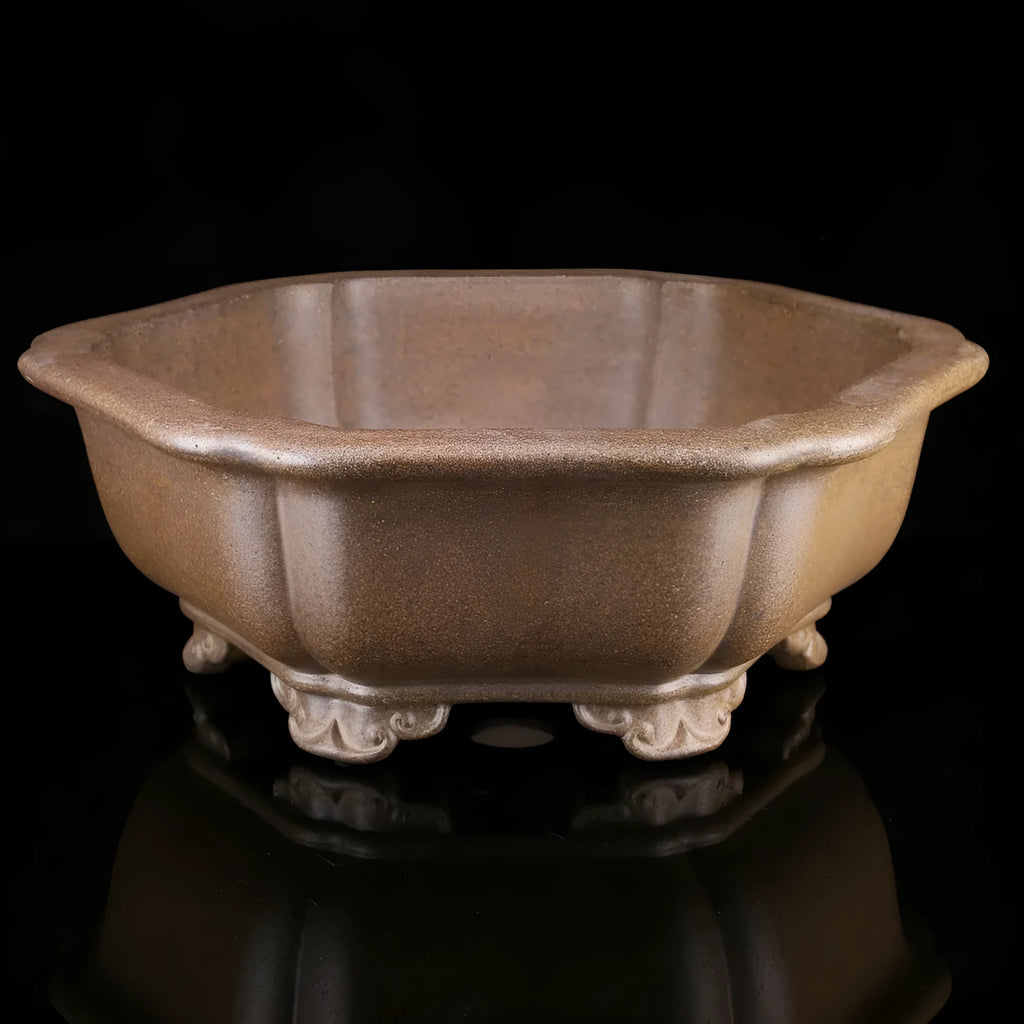 Large handmade purple sand bonsai pot in hexagonal or Begonia style for pine and tea plants