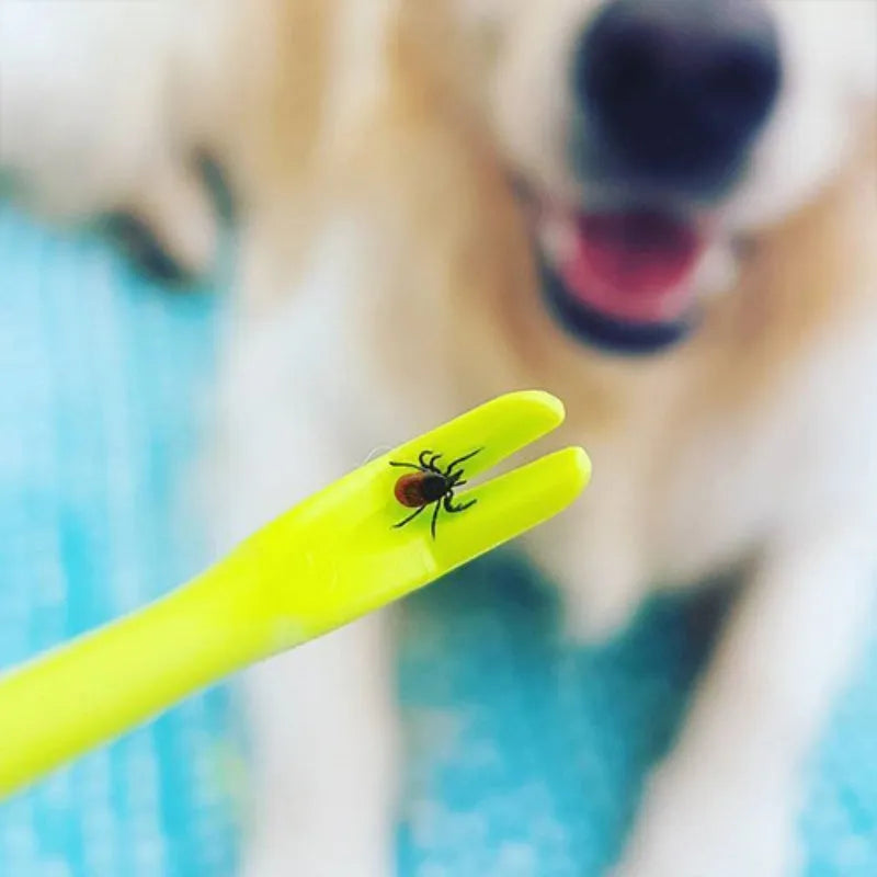 Three blue and green plastic pet tick removal tools with hook design on a white background