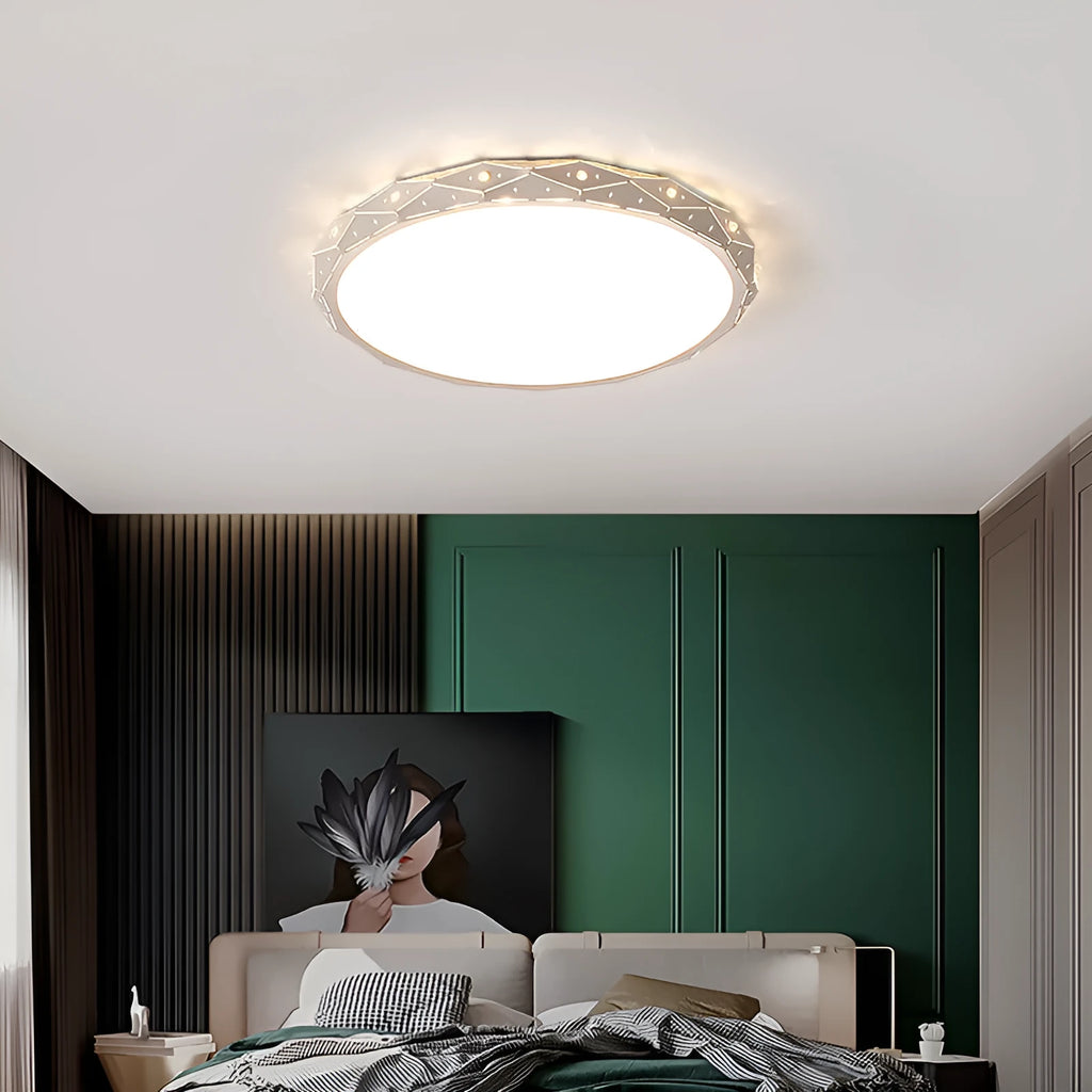 Round LED ceiling light with black iron frame and dimmable lighting options