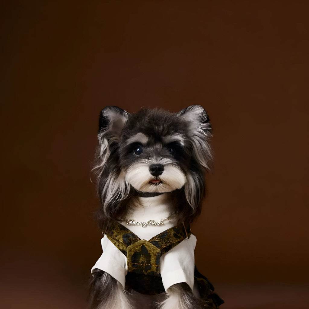 Dog wearing leopard print cotton overalls in a casual autumn outdoor setting