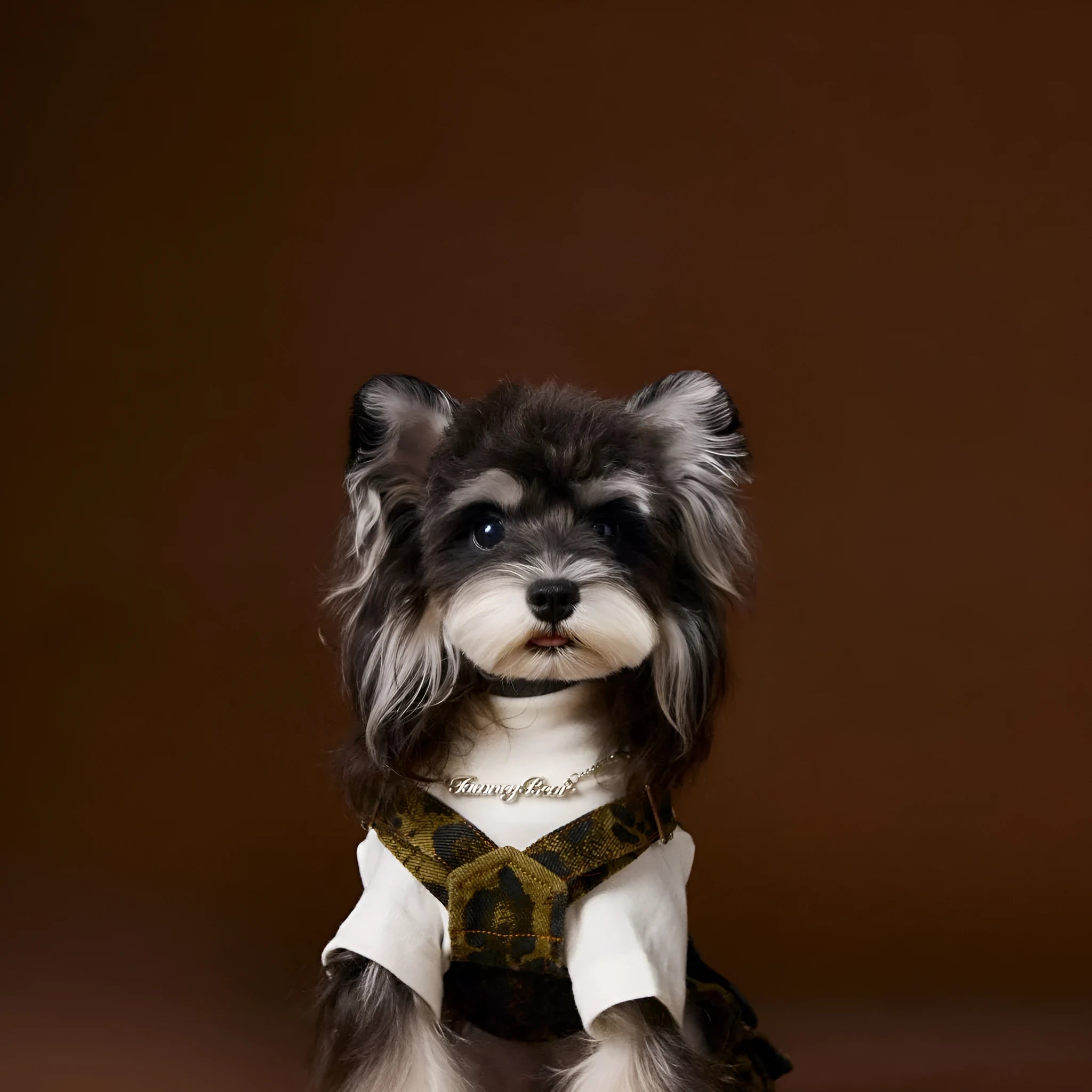 Dog wearing leopard print cotton overalls in a casual autumn outdoor setting