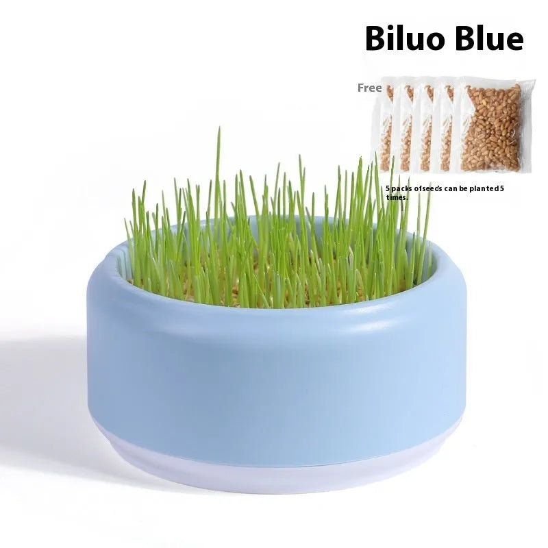 Hydroponic cat grass kit with biodegradable cup and five seed packets for indoor growing