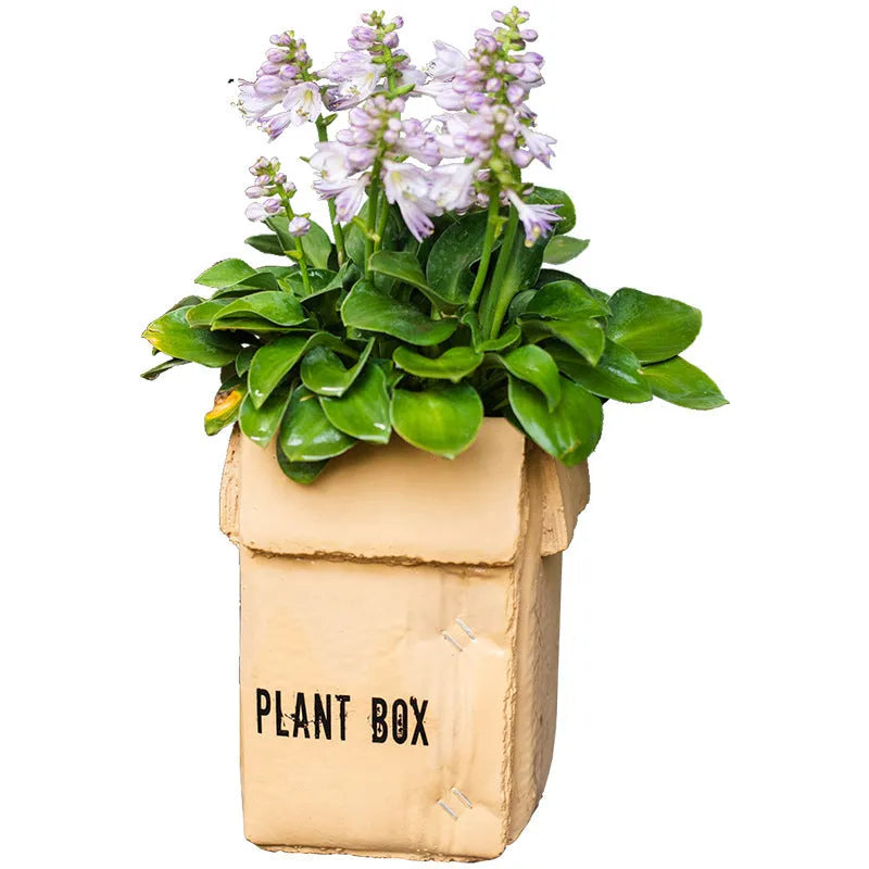Cement brown paper box flowerpot with bottom drainage hole in Nordic style