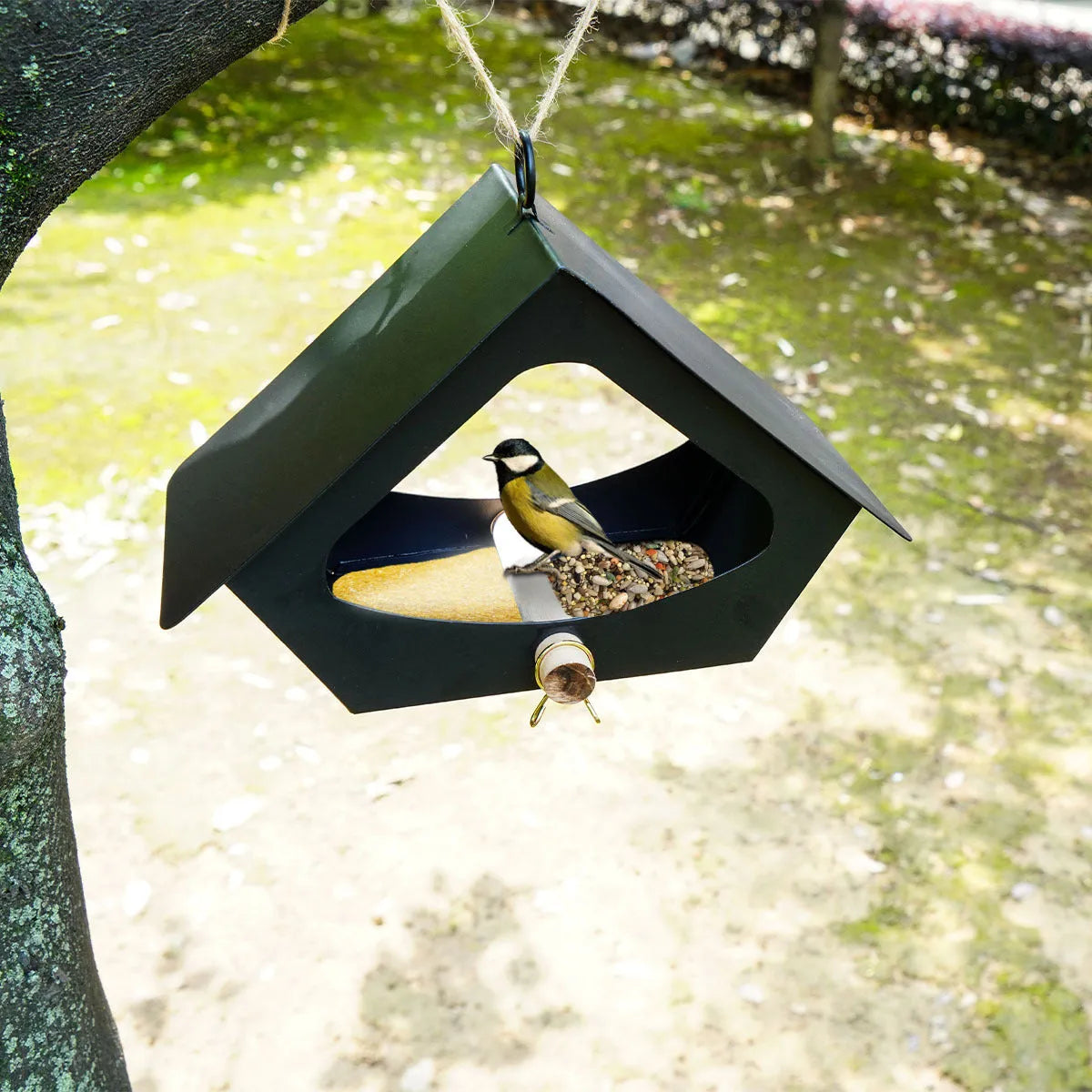 European-style iron bird nest decoration for outdoor courtyard with anti-rain bird food protection