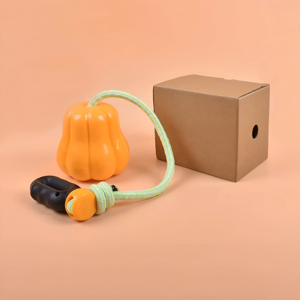 Pumpkin-shaped plastic dog toy with rope attachment for outdoor camping and long throws