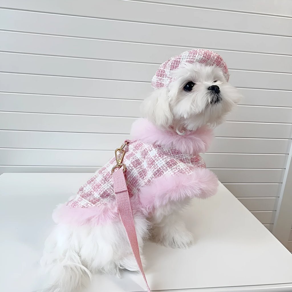 Pink cat costume set with cloak and beret for female cats with hand holding rope accessories