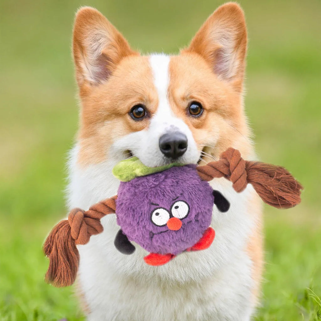 Green and purple interactive plush rope dog toy with knot design and squeaker for tug-of-war games.
