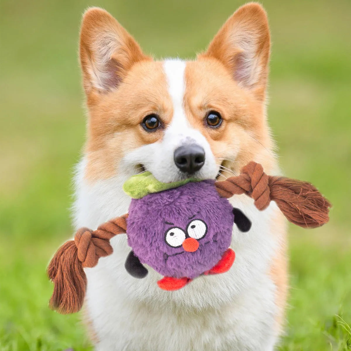 Green and purple interactive plush rope dog toy with knot design and squeaker for tug-of-war games.