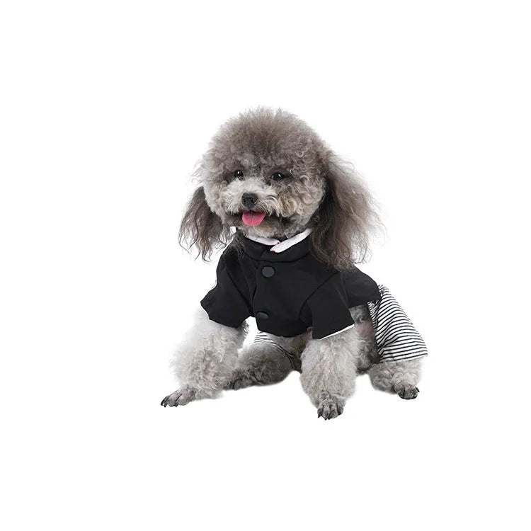 Lightweight cotton dog clothes in skirt and four-legged pants designs for seasonal pet wear
