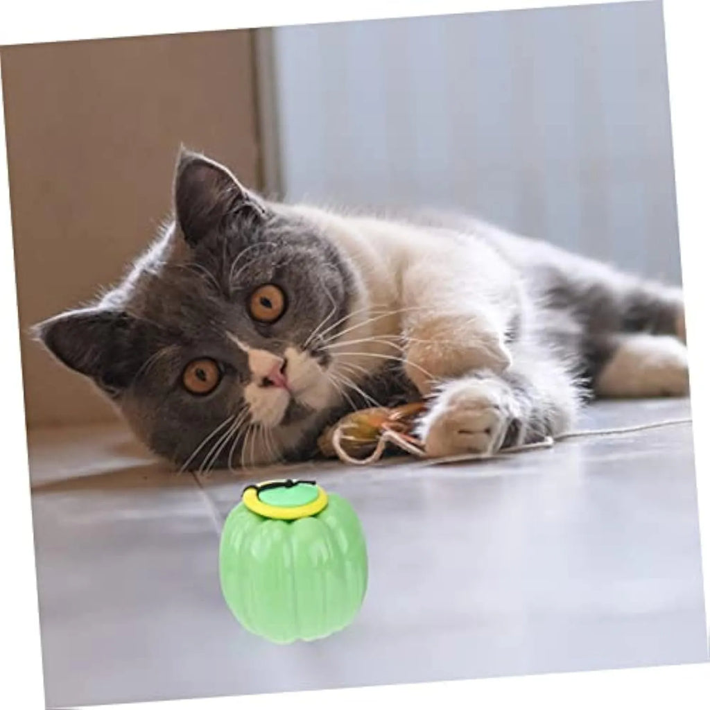 Small orange plastic pumpkin dog toy with squeaker for puppies and small breeds