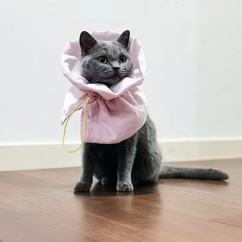 Adjustable cat recovery cone collar in light blue with elastic buckle for small dogs and cats