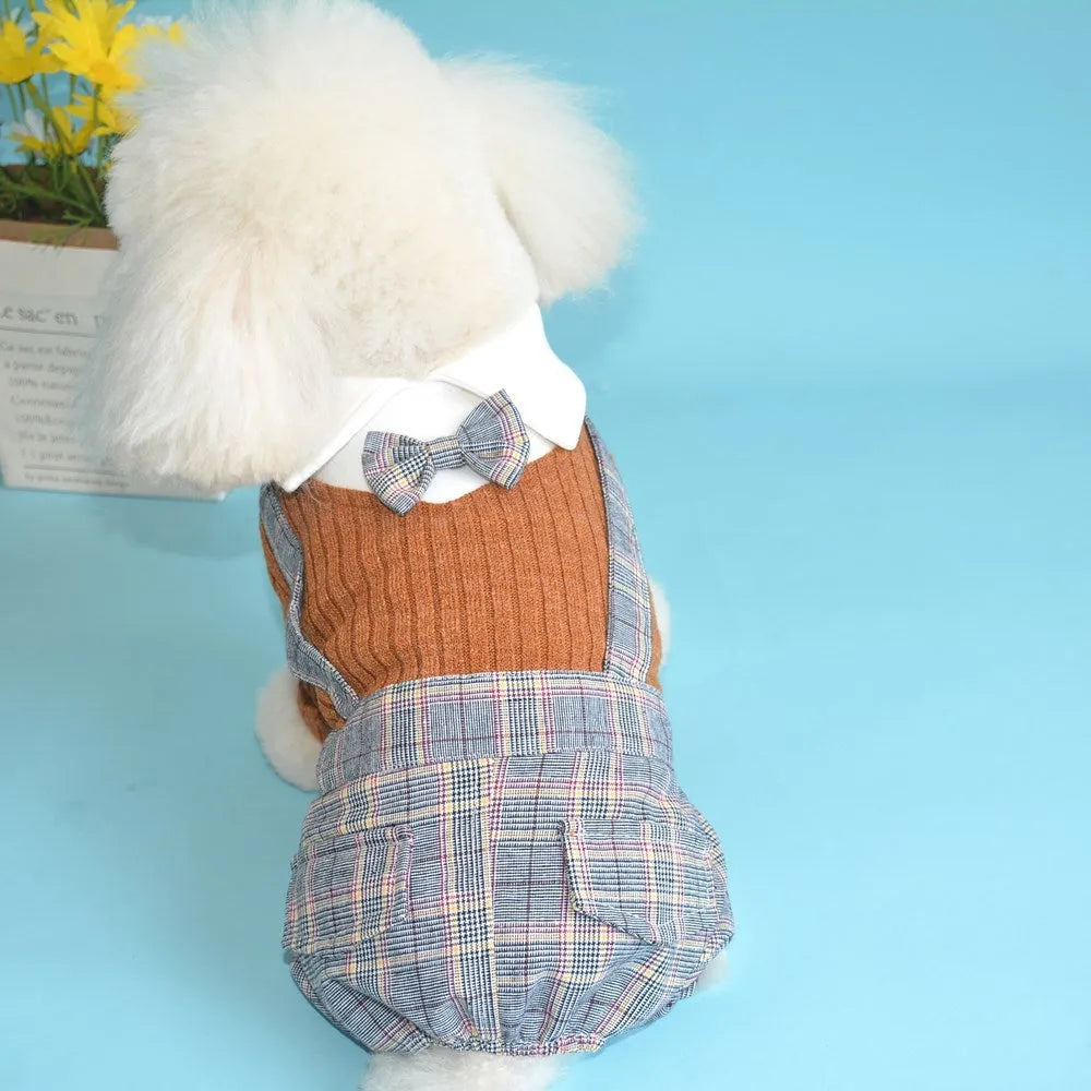 Orange and dark blue cotton dog suit shirt for small dogs in S to 2XL sizes