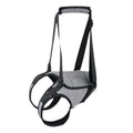 Grey neoprene dog rear leg support harness showing adjustable waist and thigh straps on a size chart.