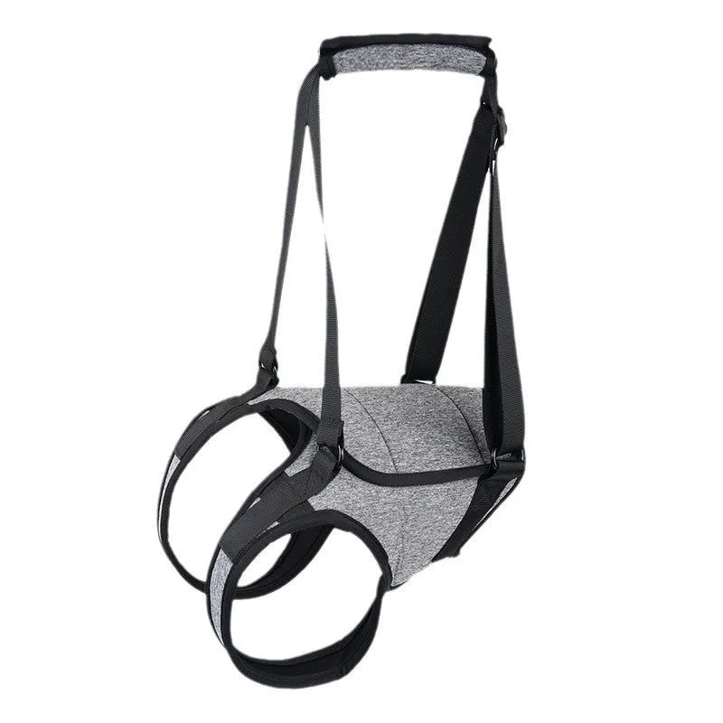 Grey neoprene dog rear leg support harness showing adjustable waist and thigh straps on a size chart.