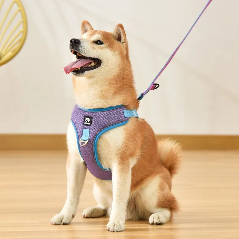 Adjustable breathable mesh dog harness with reflective stitching in multiple colour options
