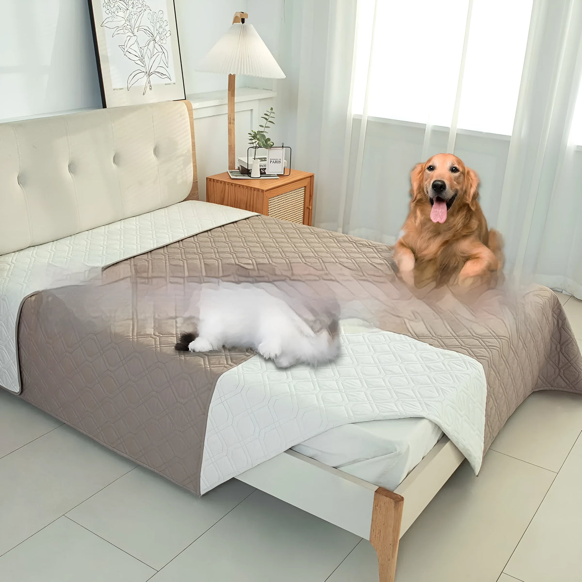 Reversible waterproof dog cushion on a sofa in dark grey and light grey contrast colours.