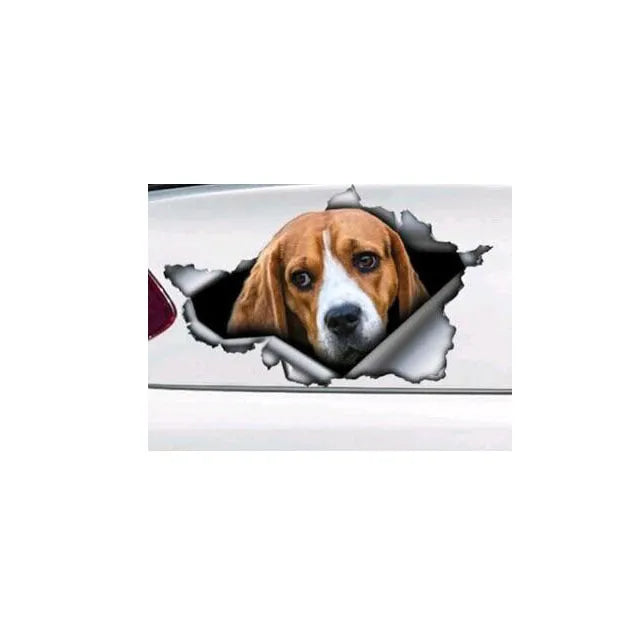 Car tail pet pattern sticker in picture colour, 20x15cm polyethylene decal for vehicle exterior
