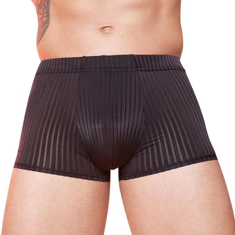 Men's black and white striped low-rise nylon briefs, thin transparent fabric.
