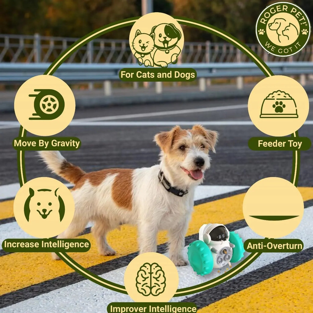 Self-balancing dog treat tumbler toy in multiple colours for small dogs and cats