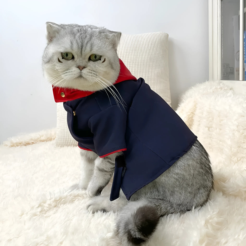 Pet wearing tiger staff yuren coloured hoodie costume for photography