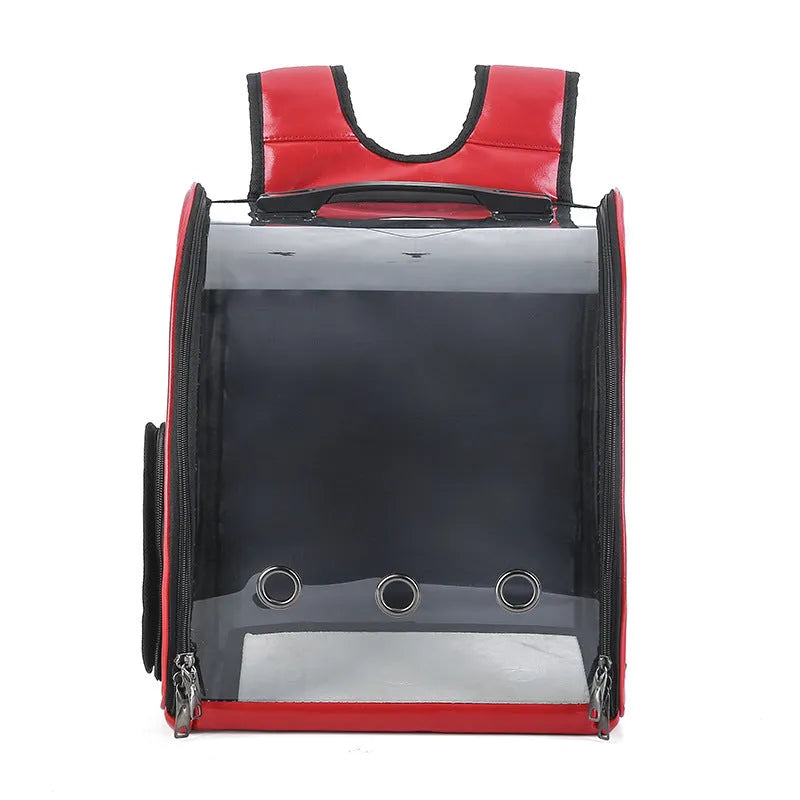 Folding transparent pet backpack for cats and small dogs in black, blue, pink, and red