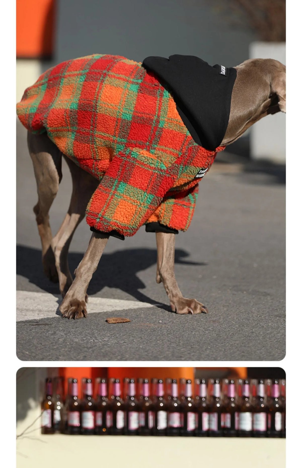 Thick warm casual dog clothing in green stripes for large breed cold weather wear