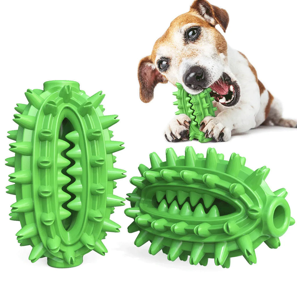 Green cactus-shaped dog chew toy with textured bumps for dental cleaning on a white background.