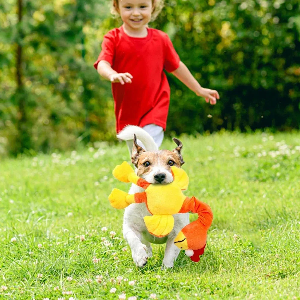 Screaming chicken sound dog chew toy in durable rubber, available in black, green and orange colours