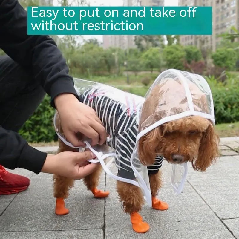 Blue plastic pet raincoat for small dog displayed on white background